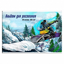 Альбом для рисования А4 40л скоба Сноубордист Феникс 60282