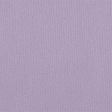 Бумага для пастели 210х297мм Lavanda лавандовый (цена за лист) Palazzo Лилия Холдинг БPLv/А4