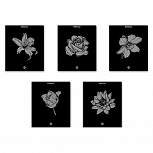 Тетрадь 48л клетка ассорти Silver Flowers Erich Krause, 54253
