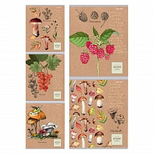 Тетрадь  48л клетка Подарки из леса ассорти Проф-Пресс, 48-3534