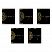 Тетрадь 48л клетка ассорти Ornament Erich Krause, 54257