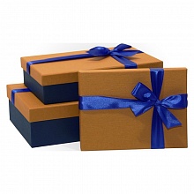 Коробка подарочная прямоугольная 29x19x8см ореховая-синяя Д10103П.158.1