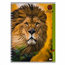 Тетрадь спираль  48л клетка Короли зверей Проф-Пресс, 48-4541