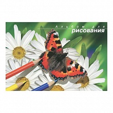 Альбом для рисования А4 40л на сутаже Бабочки Лилия Холдинг АЛ009/40